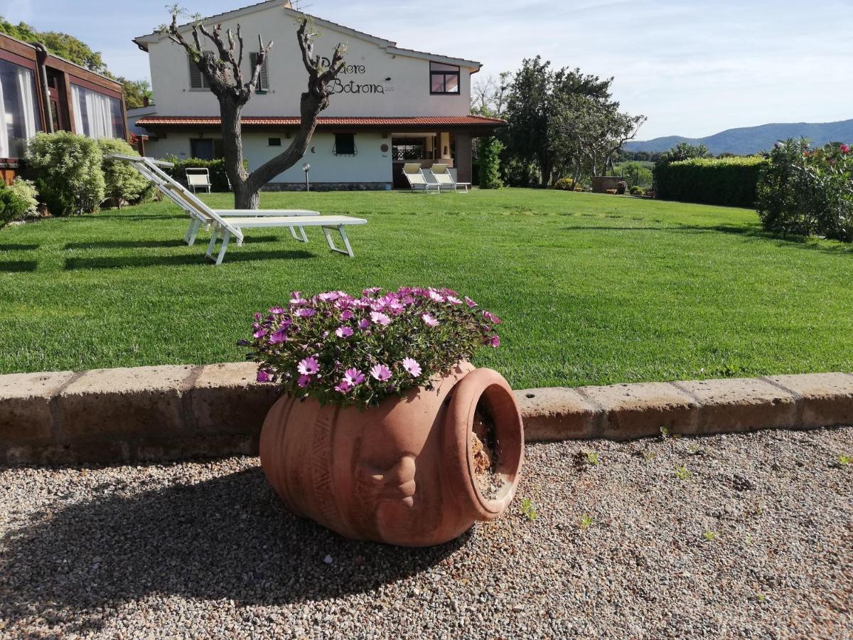 Agriturismo Diaccia Botrona Castiglione della Pescaia Eksteriør billede