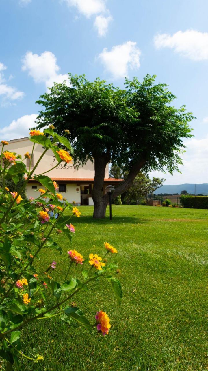Agriturismo Diaccia Botrona Castiglione della Pescaia Eksteriør billede