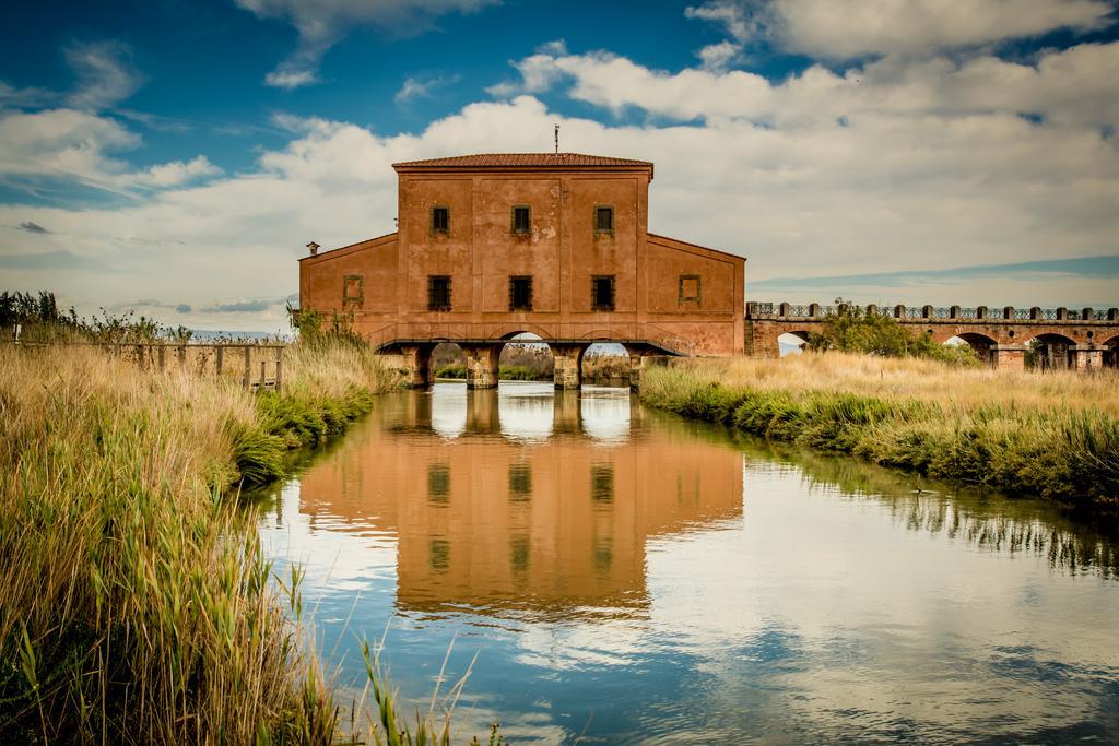 Agriturismo Diaccia Botrona Castiglione della Pescaia Eksteriør billede